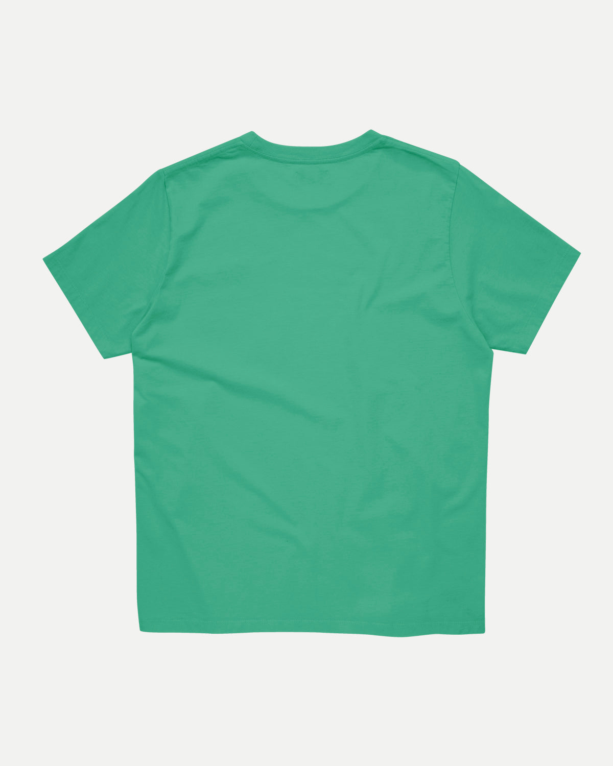 Waaier - T-shirt - Dusty Green