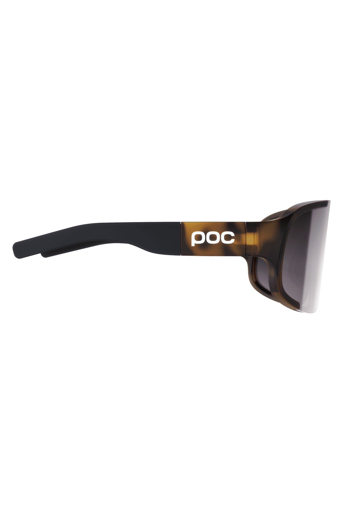 Aspire - Sunglasses - Tortoise Brown / Clarity Road Sunny Silver